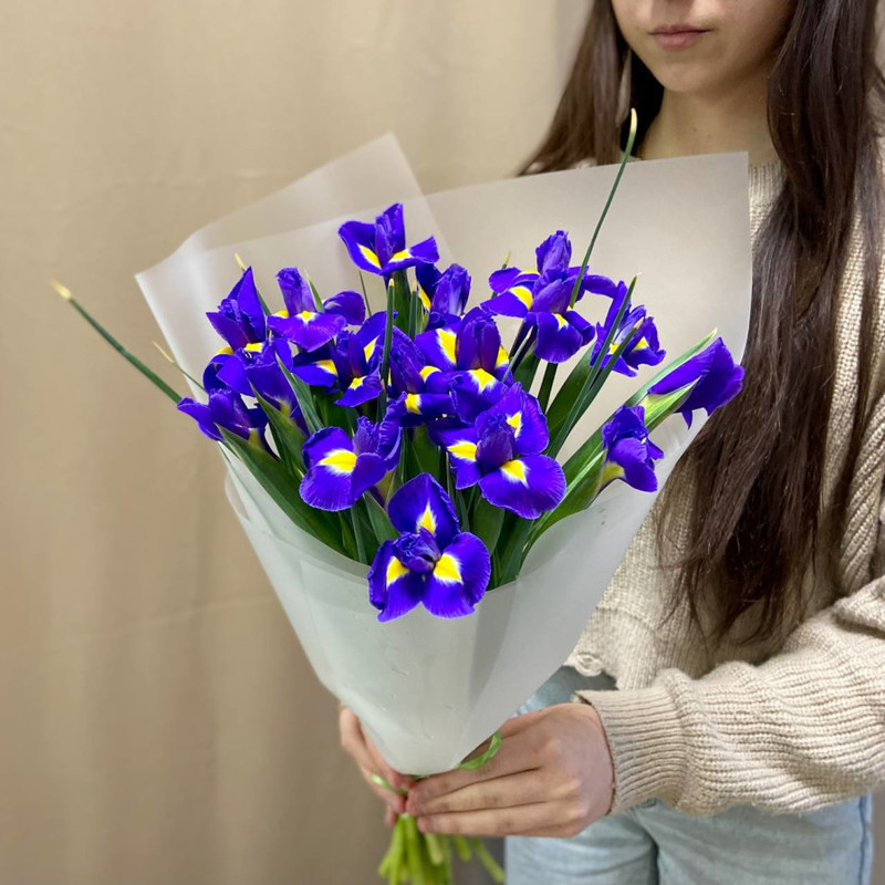 Bouquet of 17 purple irises, standart