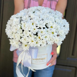 Bouquet of white daisies