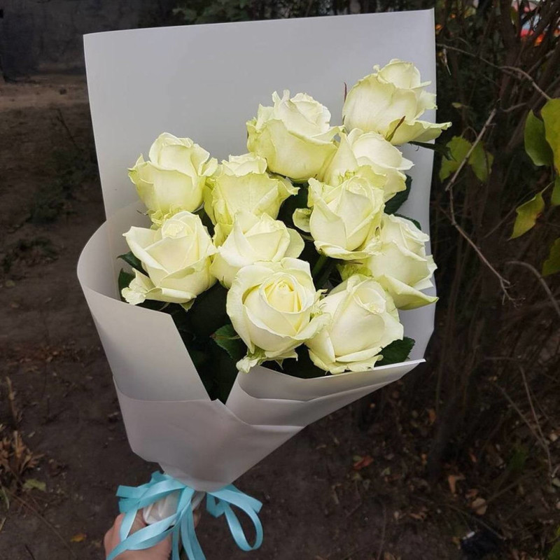 Белые розы эквадор, стандартный