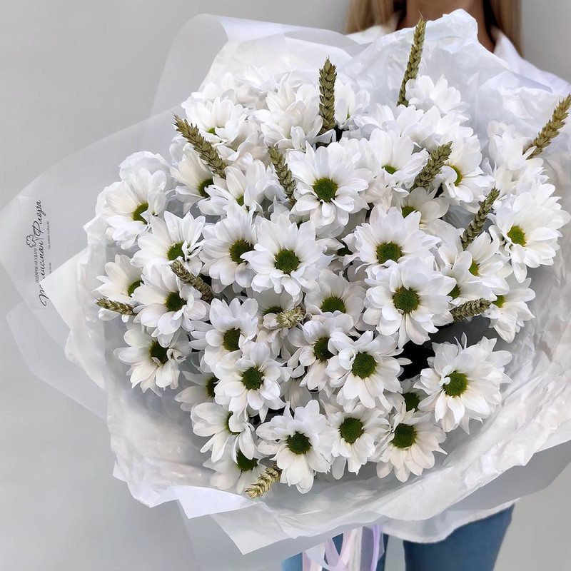 Field bouquet of white chrysanthemum with wheat, standart