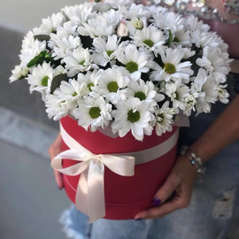 Daisies in a hatbox
