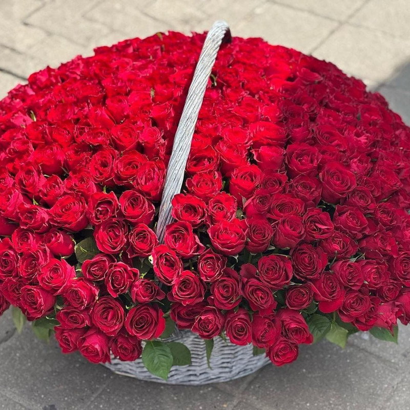 301 roses in a basket, standart
