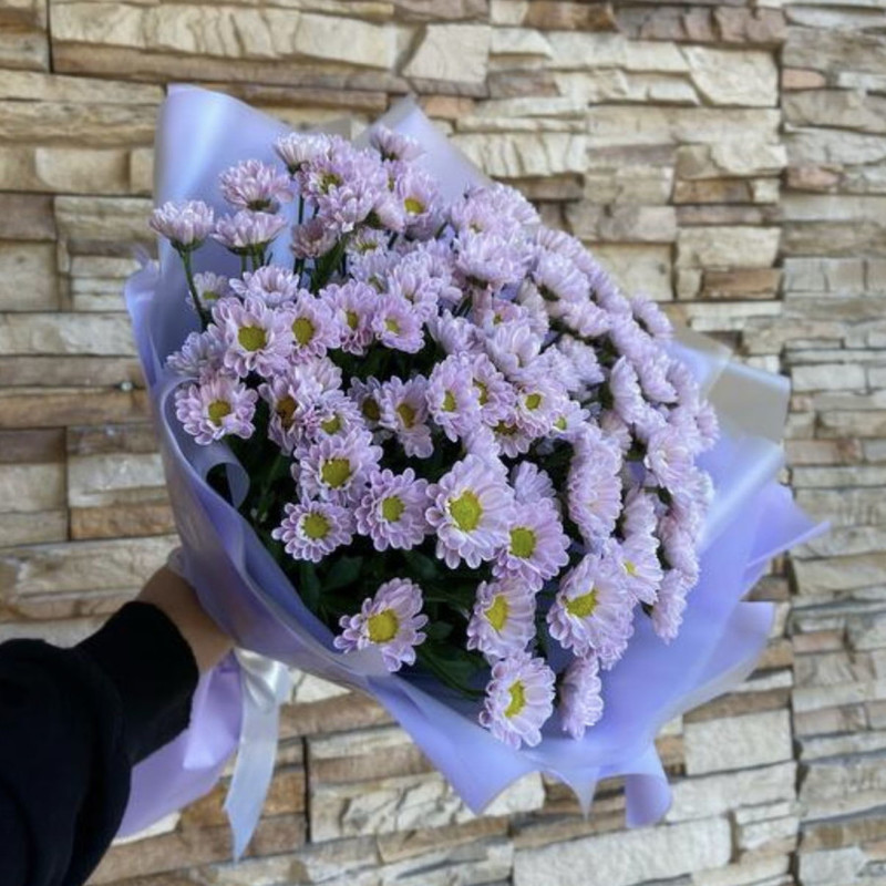 Bouquet of pink daisies, standart
