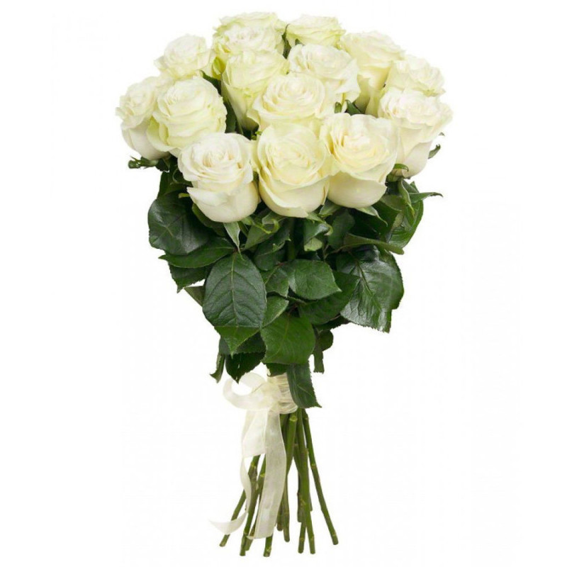 Bouquet of 15 white roses, standart