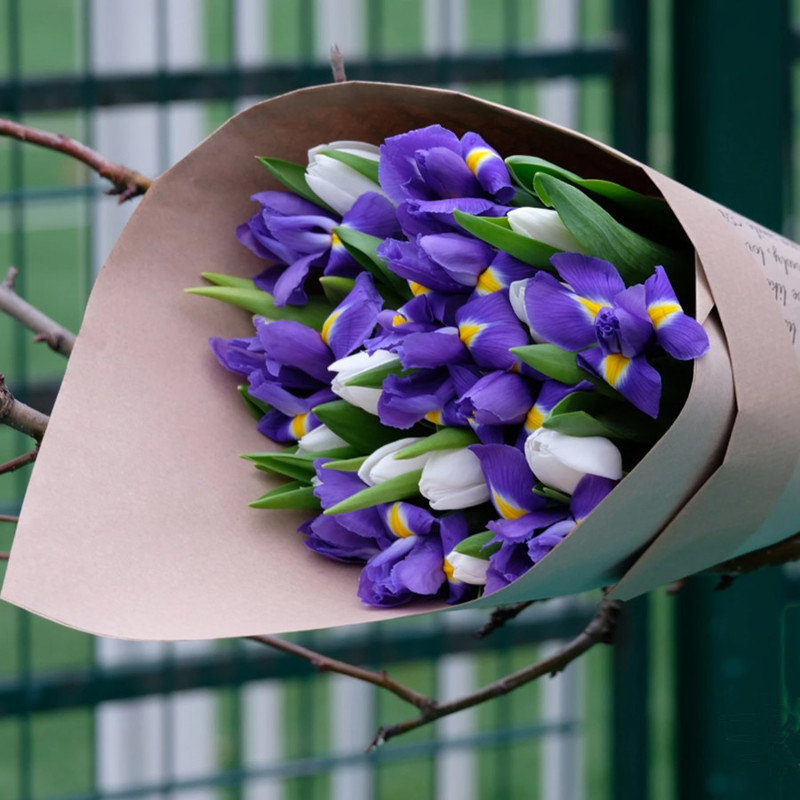 Bouquet "11 white tulips and 10 blue irises in a package", standart