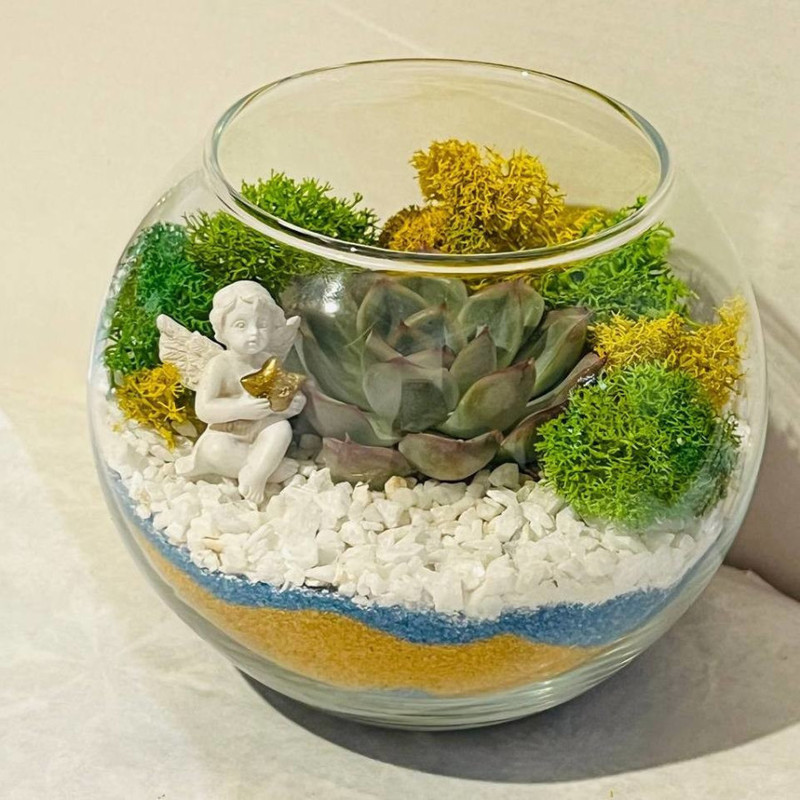 Gift florarium with succulent and angel, standart