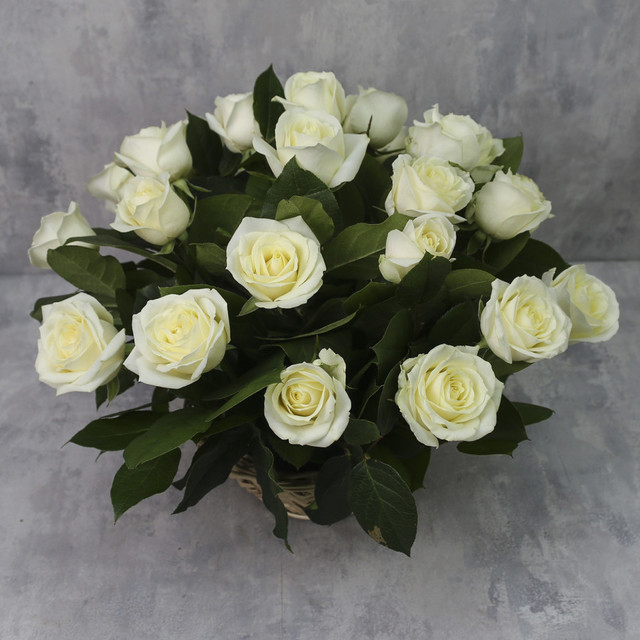 Корзина из 25 роз «Белые розы Аваланч с зеленью», стандартный