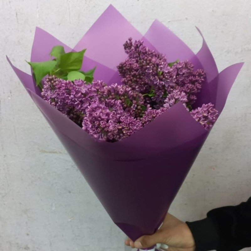 Bouquet of 9 lilacs, standart
