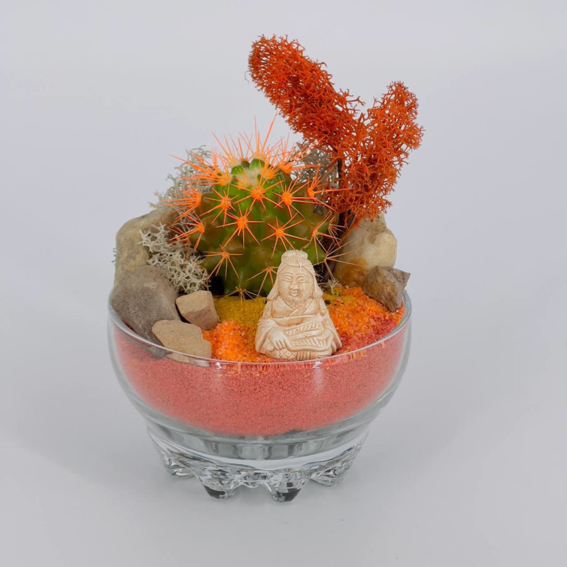 Gift florarium with cactus, standart