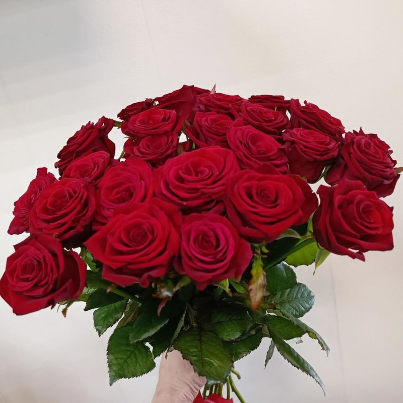 bouquet of roses, standart
