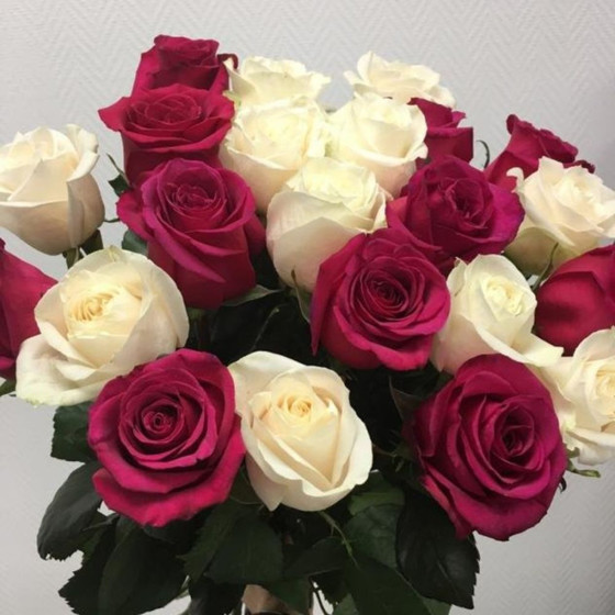 Букет из 23 эквадорских роз
