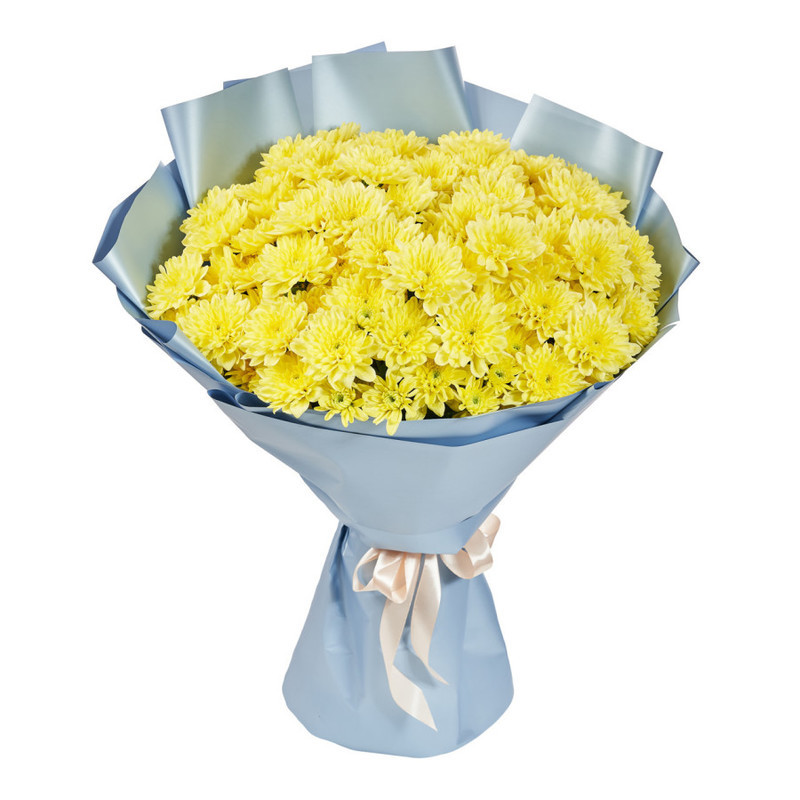 Bouquet of 15 yellow spray chrysanthemums in a package, standart