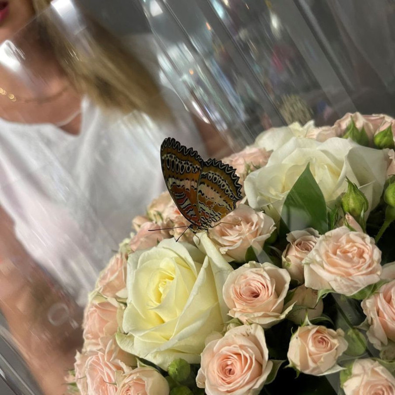 Live butterflies with roses, standart