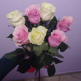 7 roses Ecuador mix