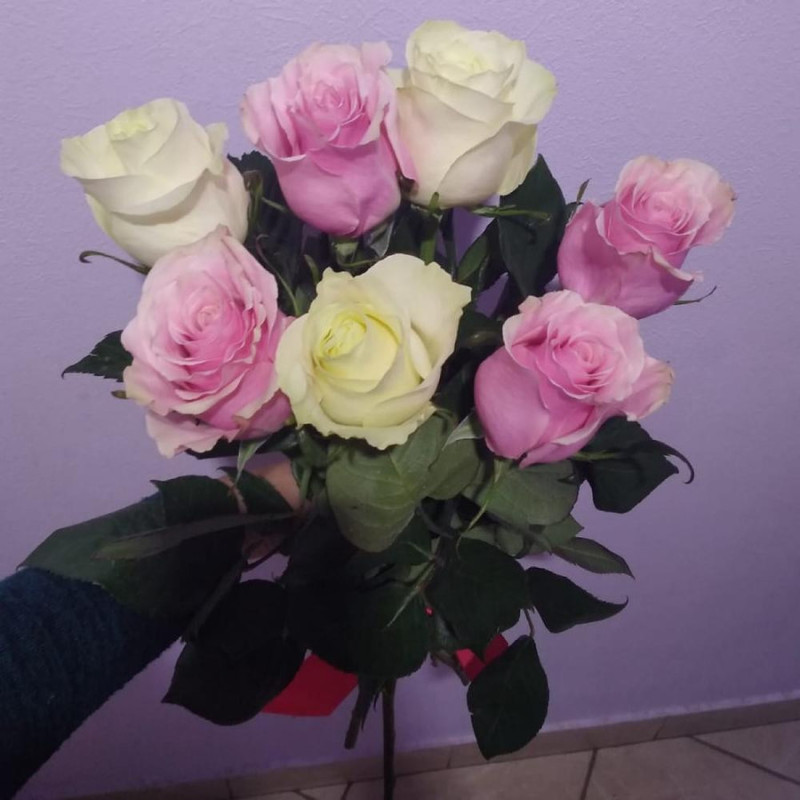 7 роз Эквадор микс, стандартный