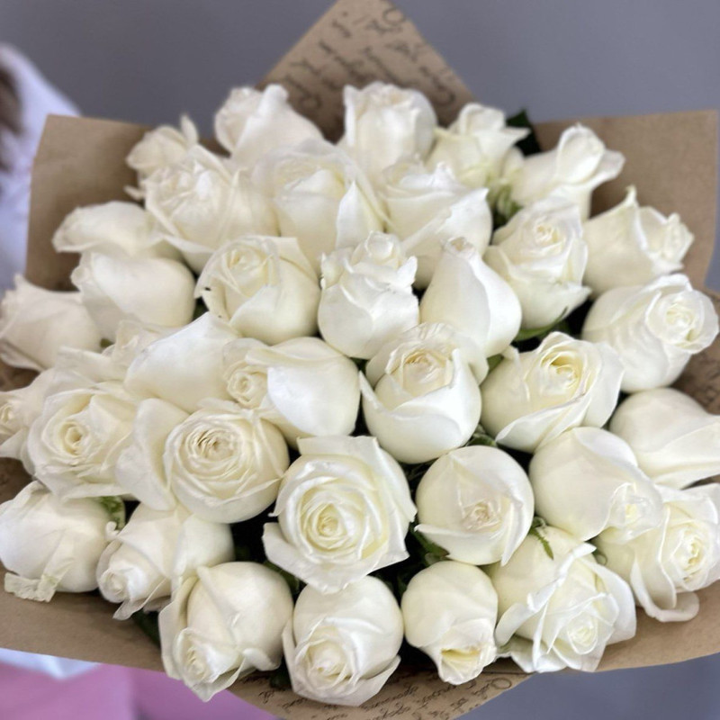 Beautiful White Roses Flowers Images | Best Flower Site