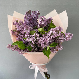 Bouquet of fragrant lilacs "Lilac dreams"