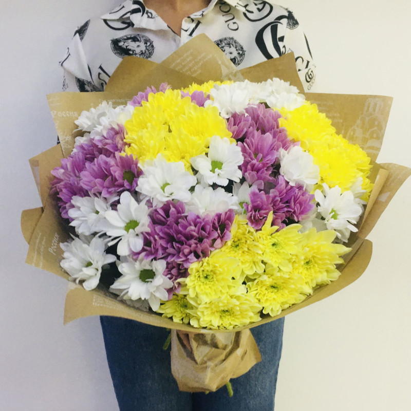 Bouquet of colorful chrysanthemums, standart