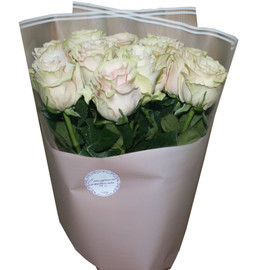 bouquet of 11 Mondial roses.
