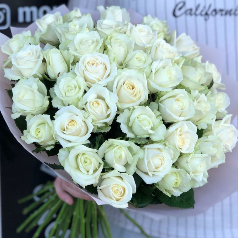 Bouquet of 39 white roses, standart