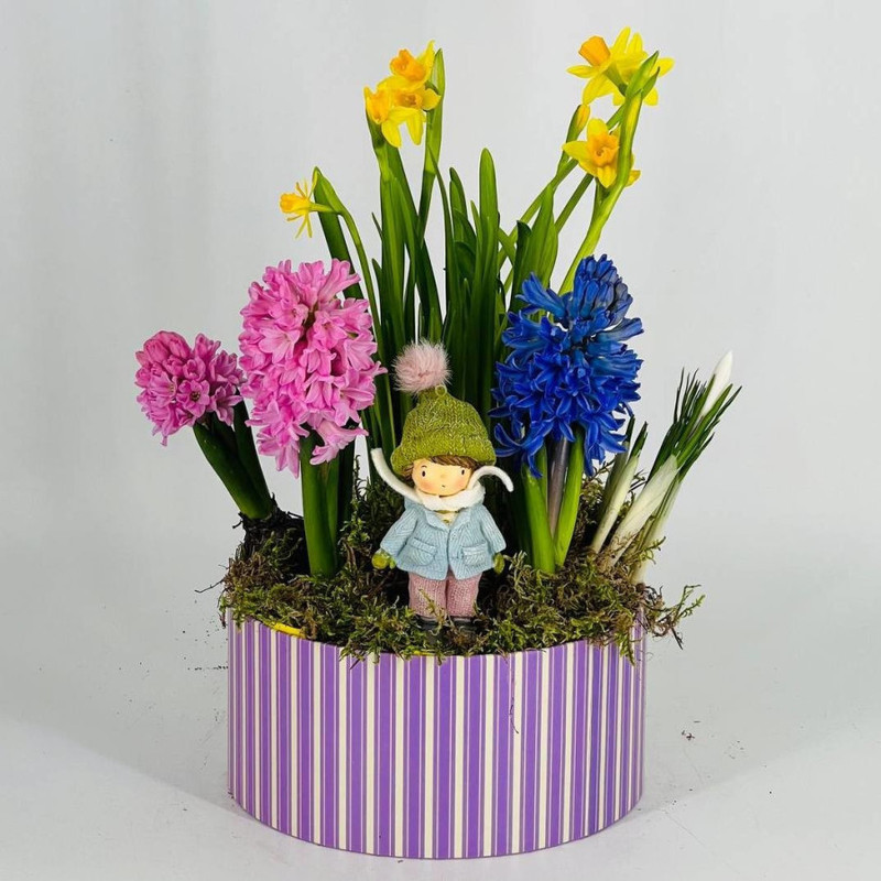 Spring bulbous primroses gift March 8, standart