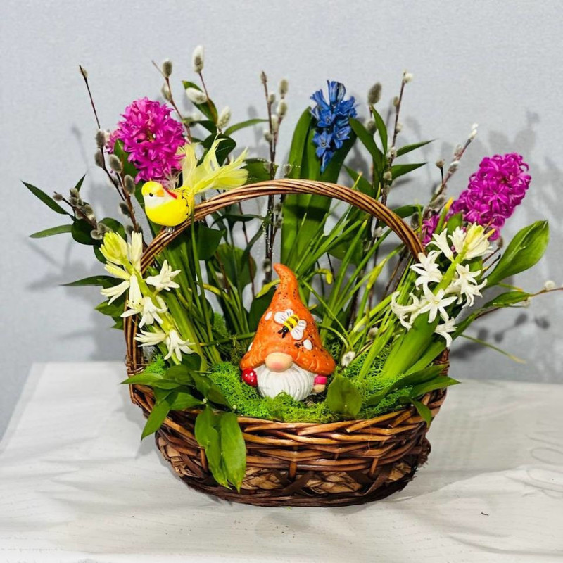 Gift basket of spring primroses with a gnome and sprigs of live willow, standart