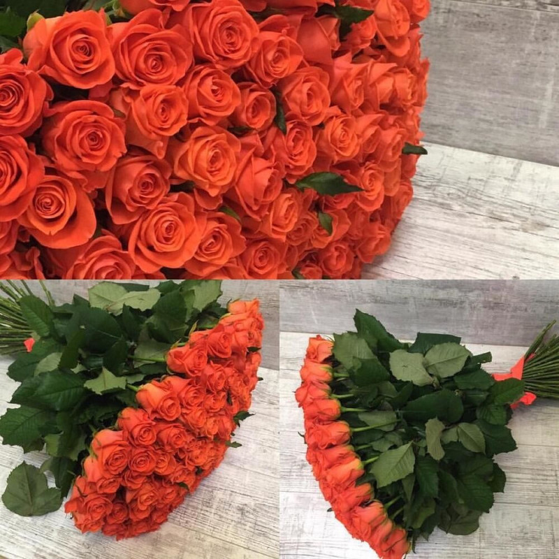 51 orange “Rose Wow” 70 cm, standart