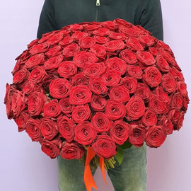 Букет из 101 красной розы  50 см