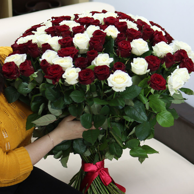 101 роза Ред Наоми и Аваланч 70 см, стандартный