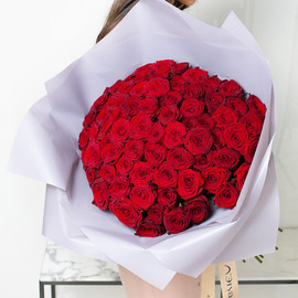 Бордовые / красные розы 101 шт. (40 см)