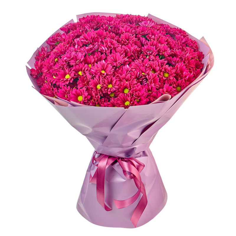 Bouquet of 25 purple chamomile chrysanthemums in a package, standart