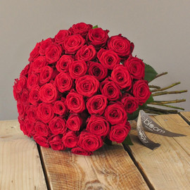 51 red roses 60cm