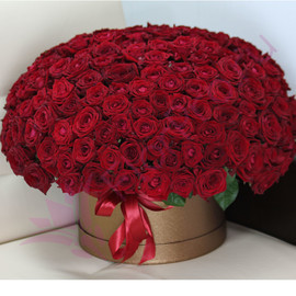Bouquet of 201 red roses in a hat box