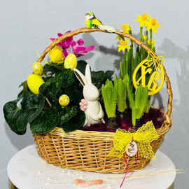 Easter composition with a rabbit and live plants