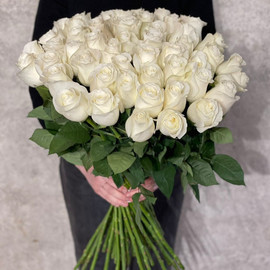 55 white roses
