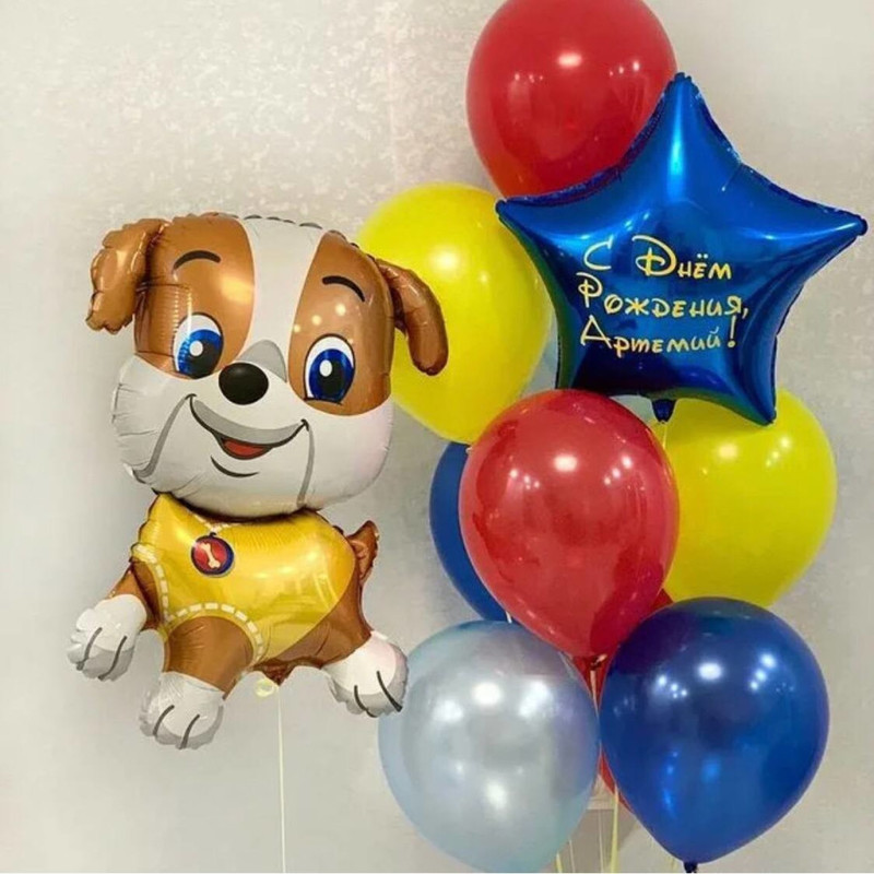 Fountain of balloons and a puppy, standart