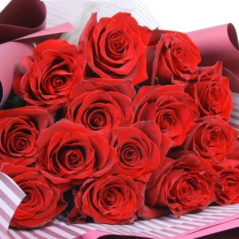 Bouquet of 15 red Ecuadorian roses, standart