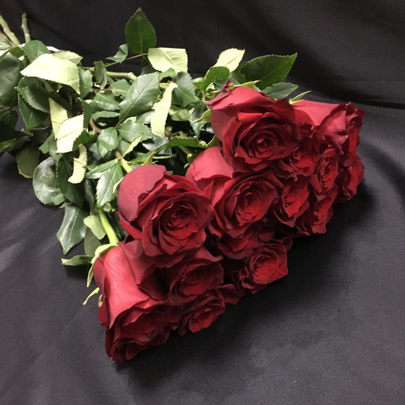 15 burgundy roses 90 cm, standart