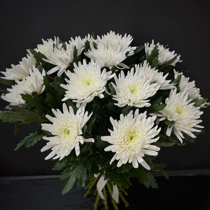 Bouquet of 15 single-headed chrysanthemums (code 29), standart
