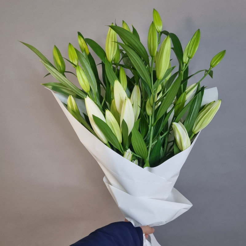 Bouquet of 9 Lily, standart