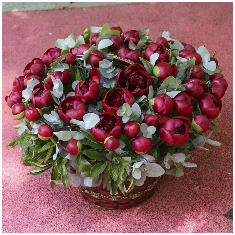 Bouquet of 51 red peonies with eucalyptus in a wicker basket, standart