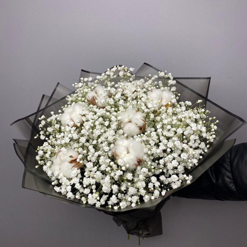 Bouquet of gypsophila and cotton, standart