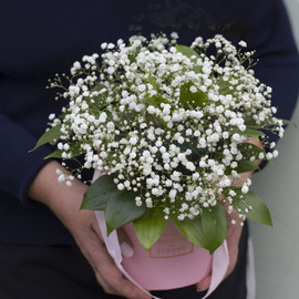 Box with Gypsophila and Tenderness