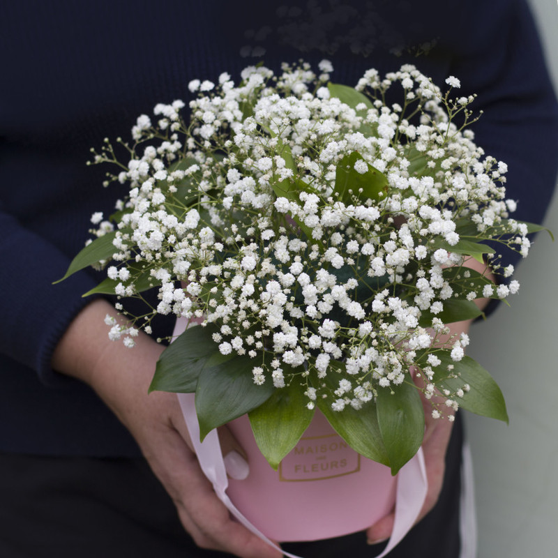 Box with Gypsophila and Tenderness, standart
