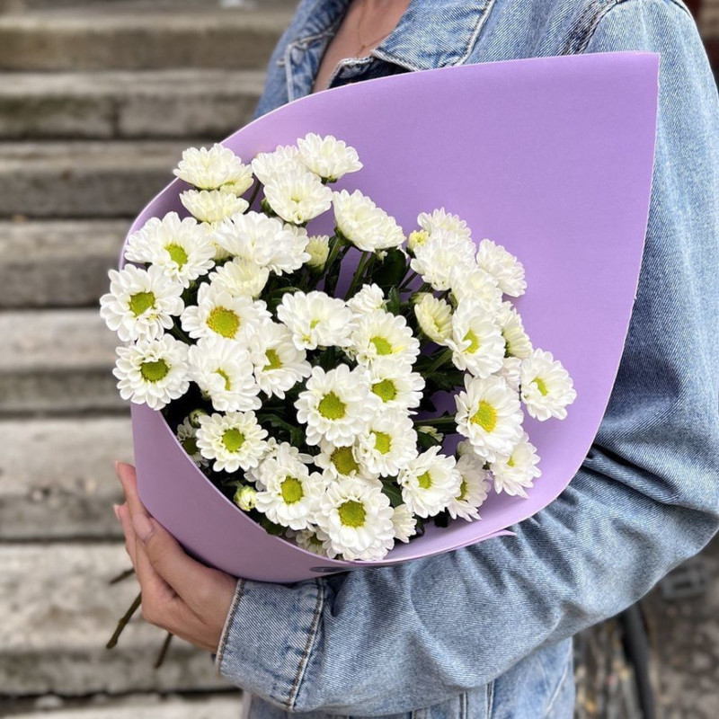 Daisies for your beloved, standart