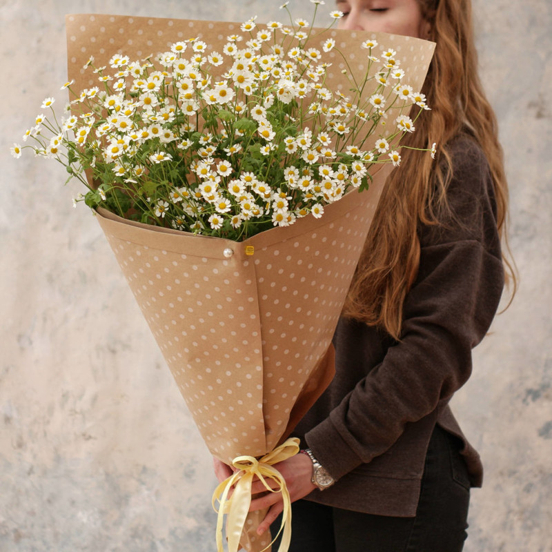 Bouquet of spray chamomile Matricaria "Loves - does not love" r.M, standart