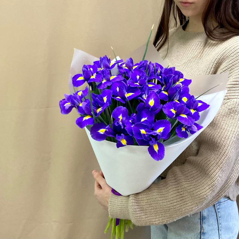 Mono-bouquet of 25 purple irises per package, standart