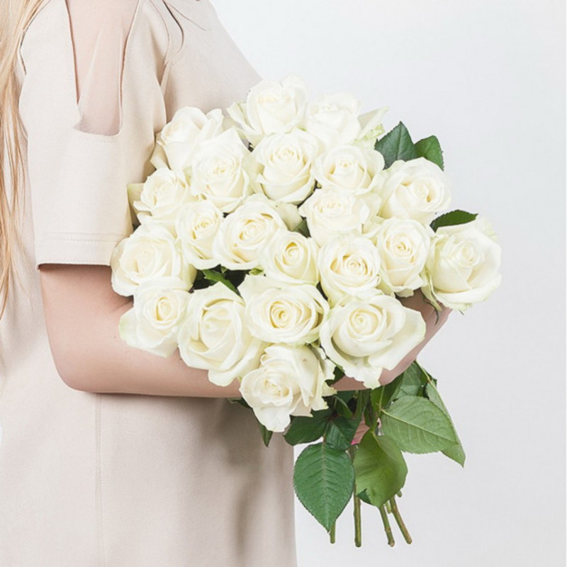 21 белая роза, стандартный