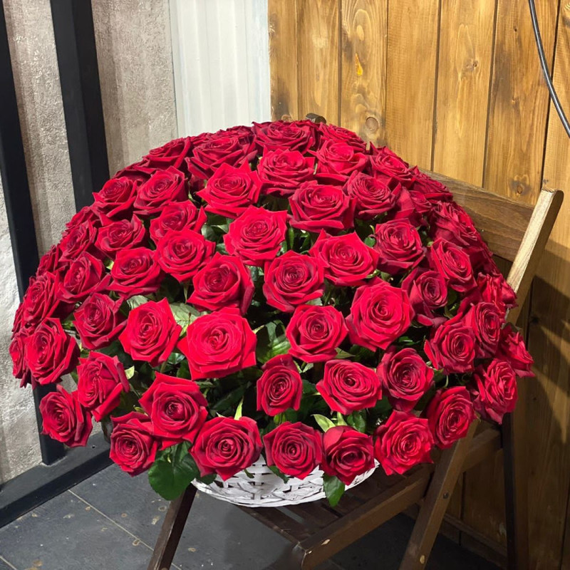 101 roses in a basket, standart