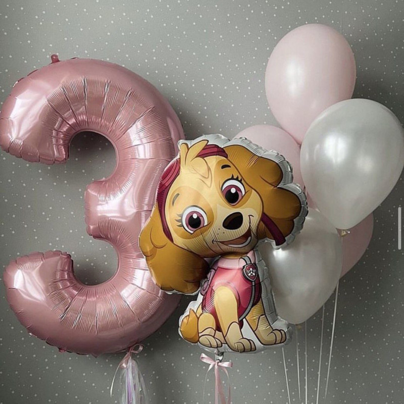 Balloons for girls "Paw Patrol" with the figure of a puppy Skye, standart